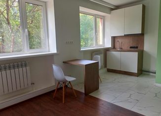 Продаю квартиру студию, 22 м2, Красное Село, Стрельнинское шоссе, 3А