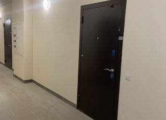 Однокомнатная квартира на продажу, 26 м2, Мурино, Воронцовский бульвар, ЖК Краски Лета