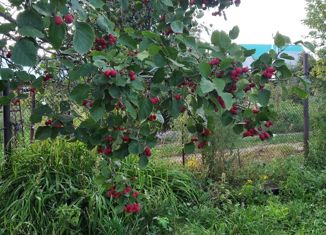 Продам дом, 20 м2, СТ Алтайские зори