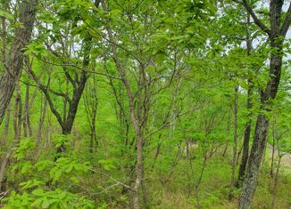 Участок на продажу, 1500 сот., Большой Камень, Берёзовая улица