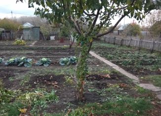 Продаю дом, 10 м2, СНТ Ильмень