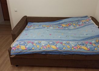 Комната в аренду, 56 м2, Москва, Кантемировская улица, 39А, район Царицыно