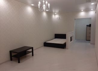 Сдаю в аренду 1-комнатную квартиру, 50 м2, Ставрополь, улица Пирогова, 72, микрорайон №31