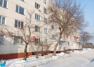 3-комнатная квартира на продажу, 59.6 м2, рабочий поселок Зеленый Бор, улица Кошурникова, 1