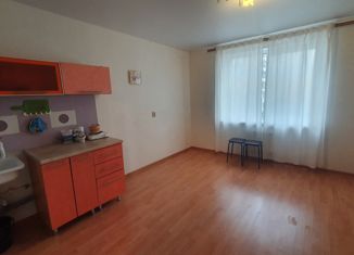Продам квартиру студию, 24.3 м2, Череповец, улица Наседкина, 27А
