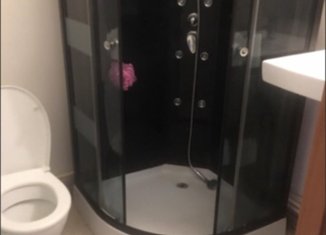 Квартира на продажу студия, 24.3 м2, деревня Куттузи, Уланская улица, 5