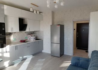 Сдаю квартиру студию, 25.1 м2, Санкт-Петербург, Плесецкая улица, 2, ЖК Ариосто