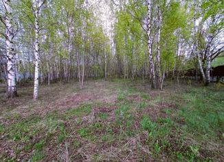 Продается участок, 27 сот., село Вакино, Садовая улица