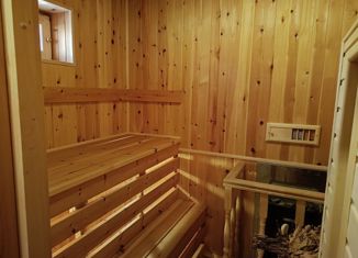 Продам дом, 100 м2, деревня Паниково, деревня Паниково, 274