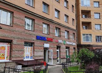 3-ком. квартира на продажу, 119.1 м2, Санкт-Петербург, Афанасьевская улица, 1, Афанасьевская улица