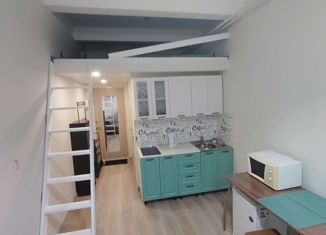 Продажа квартиры студии, 16.7 м2, Москва, станция Трикотажная, Волоколамское шоссе, 116