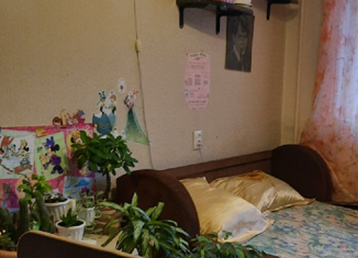 Сдам комнату, 60 м2, Санкт-Петербург, улица Жени Егоровой, 5к1, метро Парнас