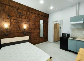 Продажа квартиры студии, 17 м2, Москва, Гостиничный проезд, 6к2, метро Окружная