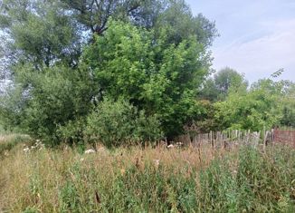 Продается участок, 16.5 сот., деревня Шульгино