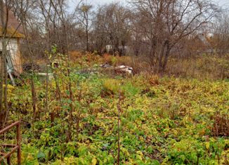 Продается земельный участок, 25 сот., село Спас-Загорье, Центральная улица