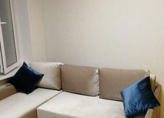 Продажа квартиры студии, 15.1 м2, Москва, Окская улица, 28к3, метро Кузьминки