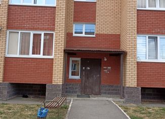 1-комнатная квартира на продажу, 26.5 м2, село Дмитриевка, Яблоневая улица, 32
