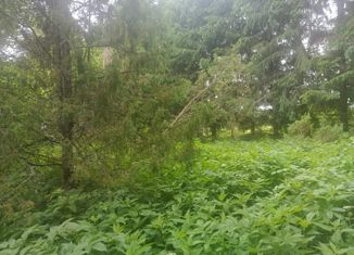 Продажа земельного участка, 31.5 сот., деревня Федосовичи