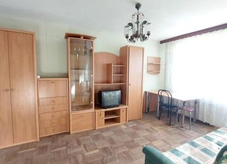 1-комнатная квартира на продажу, 30 м2, Санкт-Петербург, Светлановский проспект, 119, муниципальный округ Прометей