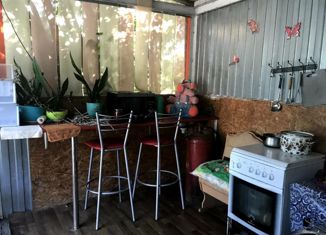 Продаю дом, 40 м2, садоводческое некоммерческое товарищество Пионер, Вишнёвая улица