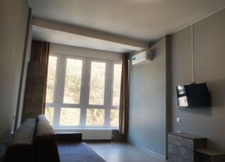 Продается квартира студия, 26.7 м2, село Краевско-Армянское, Измайловская улица, 20