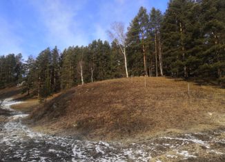 Продам участок, 50 сот., село Узнезя