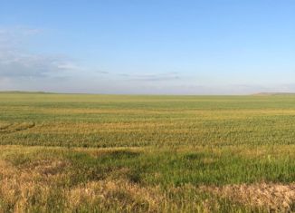 Продам земельный участок, 2600 сот., Ленинское сельское поселение