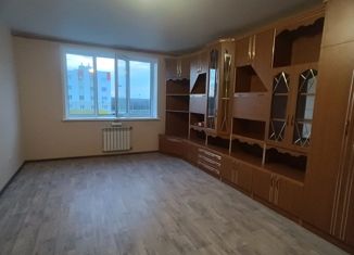 Продается двухкомнатная квартира, 63.4 м2, Пензенская область, улица Новосёлов, 101