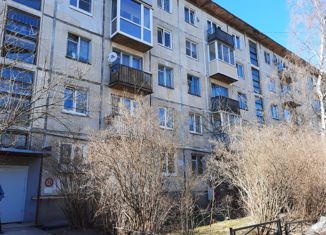 Двухкомнатная квартира на продажу, 45.5 м2, Санкт-Петербург, Антоновская улица, 4А, Калининский район
