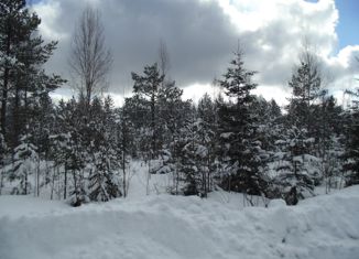 Продается участок, 16 сот., СНТ Витязь