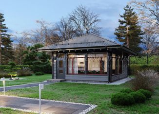 Дом на продажу, 48 м2, деревня Красная Новь