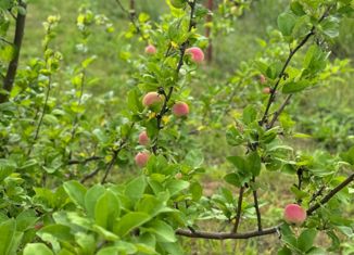 Участок на продажу, 15 сот., село Большое Алитово, улица Большое Алитово, 14
