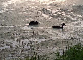 Продается участок, 5.1 сот., деревня Крёкшино, коттеджный посёлок Чистые Пруды, 118