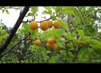 Продажа дома, 15 м2, Краснотурьинск