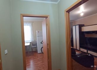 Продается 1-комнатная квартира, 33 м2, деревня Берёзовка, Арзамасская улица, 27