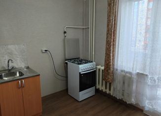 Аренда 1-комнатной квартиры, 28.5 м2, Сарапул, улица Седельникова, 148