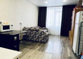 Продаю квартиру студию, 26 м2, Краснодар, Новороссийская улица, 90/2к2, Центральный округ