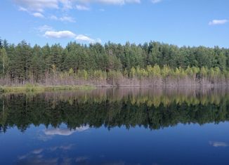 Продается земельный участок, 5000 сот., деревня Большое Городно