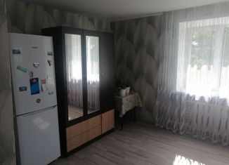 Продажа 1-комнатной квартиры, 30.1 м2, поселок городского типа Цильна, улица Гагарина, 1