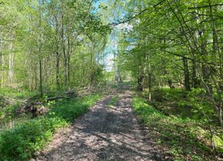 Продаю земельный участок, 300 сот., деревня Богородское