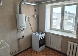 Однокомнатная квартира на продажу, 30 м2, Нижегородская область, Новомосковская улица, 32