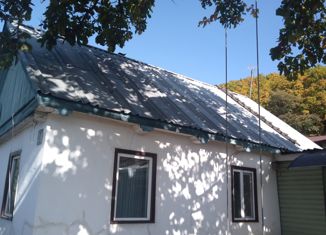 Дом на продажу, 31 м2, село Новая Сила, Центральная улица, 30