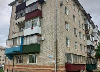 Продажа 2-ком. квартиры, 39.1 м2, Биробиджан, Московская улица, 3