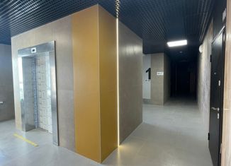 Однокомнатная квартира на продажу, 35 м2, посёлок Петровский, Петровская улица, 7