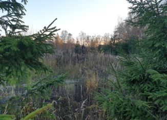 Продаю участок, 15 сот., деревня Большое Петровское