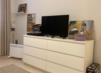 Продаю 1-ком. квартиру, 30 м2, Санкт-Петербург, улица Карбышева, 6к1, улица Карбышева