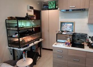 Продаю квартиру студию, 19 м2, Москва, Покровская улица, 17Ак3, метро Некрасовка