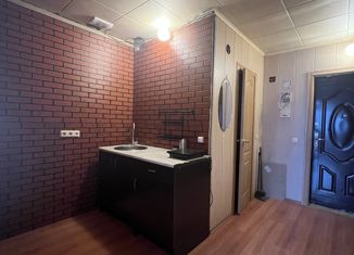 Продажа квартиры студии, 26.5 м2, деревня Старая, Полевая улица, 5