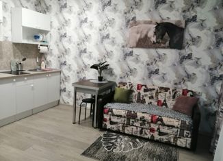 Продается квартира студия, 28 м2, Лобня, улица Колычева, 5