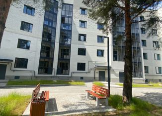 Продаю однокомнатную квартиру, 43 м2, посёлок Красный Бор, улица Энергетиков, 10